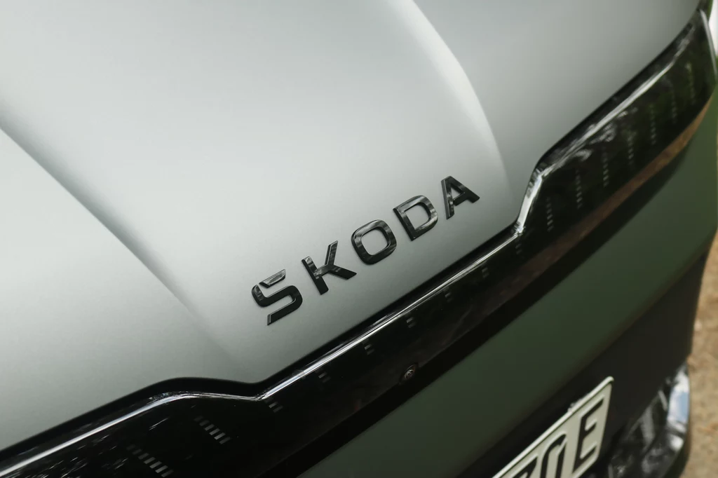 Pas świetlny "Light Band" jest w modelu RS dostępny w standardzie Logo marki Škoda umieszczone na masce samochodu w kolorze matowym, fragment przedniej części auta z widoczną osłoną chłodnicy i fragmentem tablicy rejestracyjnej.