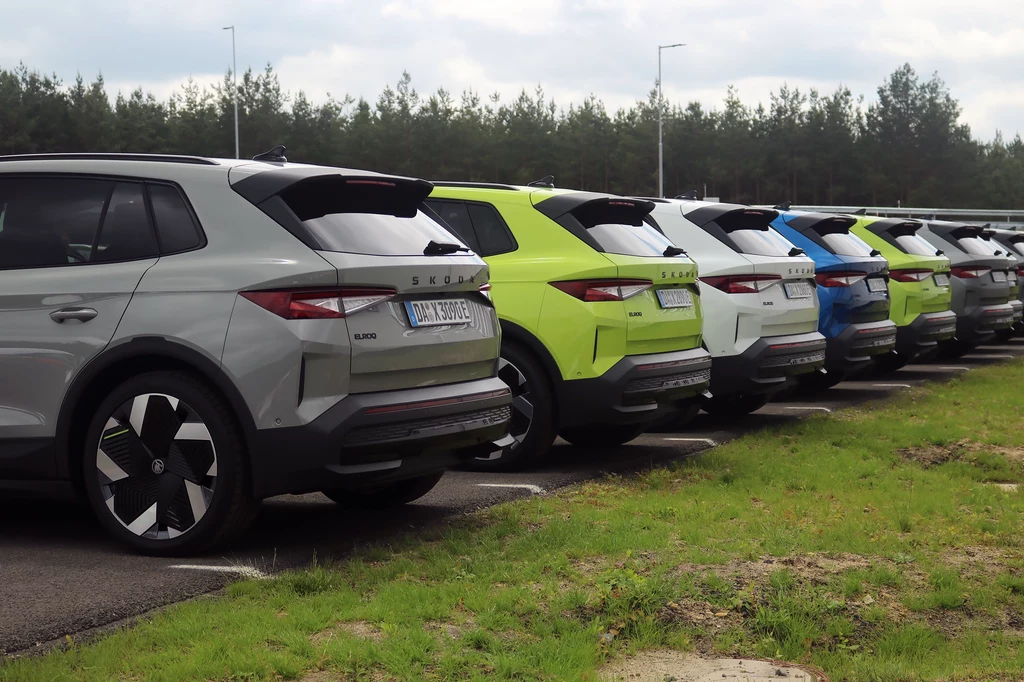 Do "klasycznych" lakierów znanych z modelu Elroq, dołączył ekskluzywny kolor "Zieleń Mamba". Rząd nowoczesnych samochodów osobowych różnych kolorów zaparkowanych na asfalcie, obok trawnika. Wszystkie auta ustawione są tyłem do obiektywu, a w tle widoczny jest las.