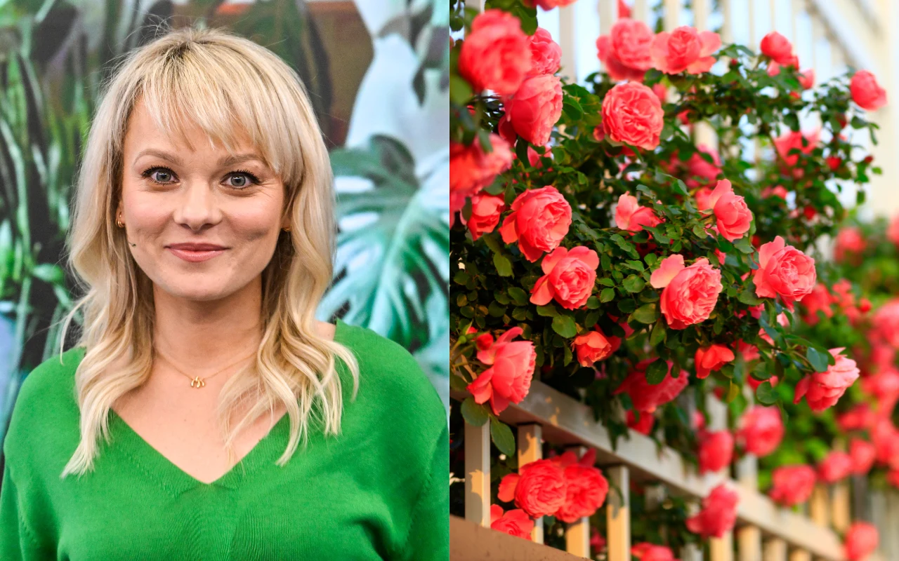 Kasia Joda podpowiada, jak hodować róże na balkonie