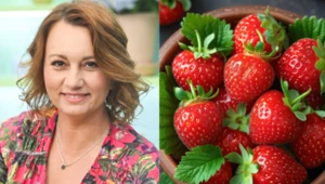Przepisy Ewy Olejniczak na truskawkowe hity lata: orzeźwiająca lemoniada i zdrowy detoks