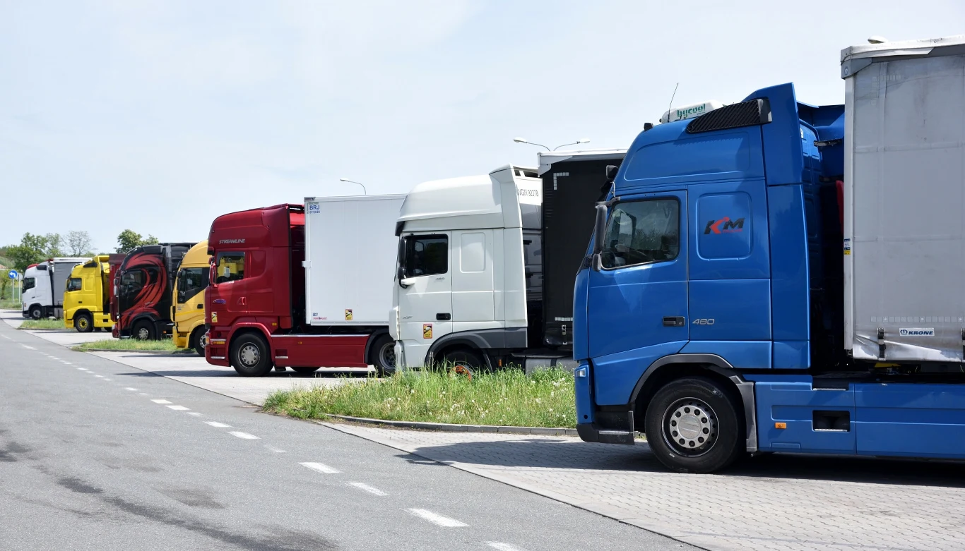 Rząd kolorowych ciężarówek zaparkowanych na parkingu przy trasie, każda ustawiona równolegle do siebie, po lewej stronie widoczny asfalt oraz odrobina zieleni oddzielająca pojazdy od jezdni.