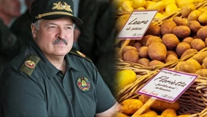 Łukaszenka z apelem do narodu. "Maksymalnie dwa"