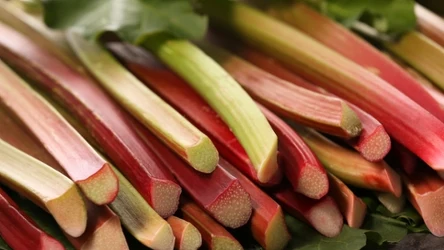 Warto korzystać, póki trwa sezon na tę roślinę