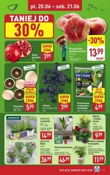 Nowe super okazje w ALDI! 