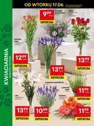Niskie ceny w dół w Delikatesach Centrum 