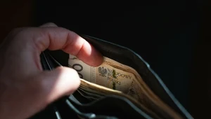 PPK to program długoterminowego oszczędzania.