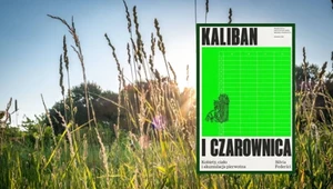 Silvia Federici, Kaliban i czarownica. Kobiety, ciało i akumulacja pierwotna. Przeł. Krzysztof Król. Wydawnictwo Karakter. Kraków 2025