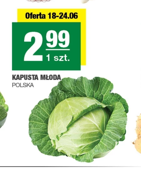 Молода капуста
