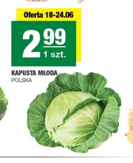 Молода капуста