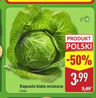 Білокачанна капуста Polski