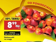 Nektarynki