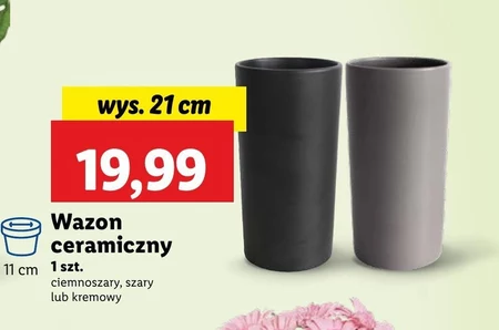Wazon