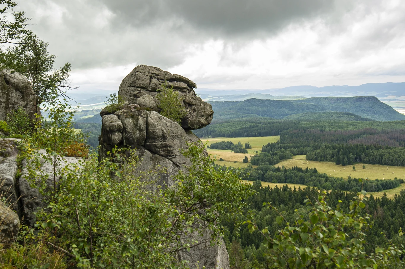 Trasa na Szczeliniec Wielki pełna jest fantazyjnych formacji skalnych, wśród których wymienia się takie jak “Kwoka", “Małpolud" czy “Wielbłąd".