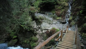 Polacy nie znają tego szlaku, a jest rzut beretem od Katowic. Widoki cię zachwycą