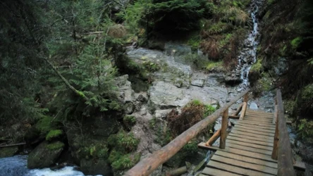 Pradziad znajduje się w paśmie górskim Wysokiego Jesionika. Ma 1492 metry wysokości