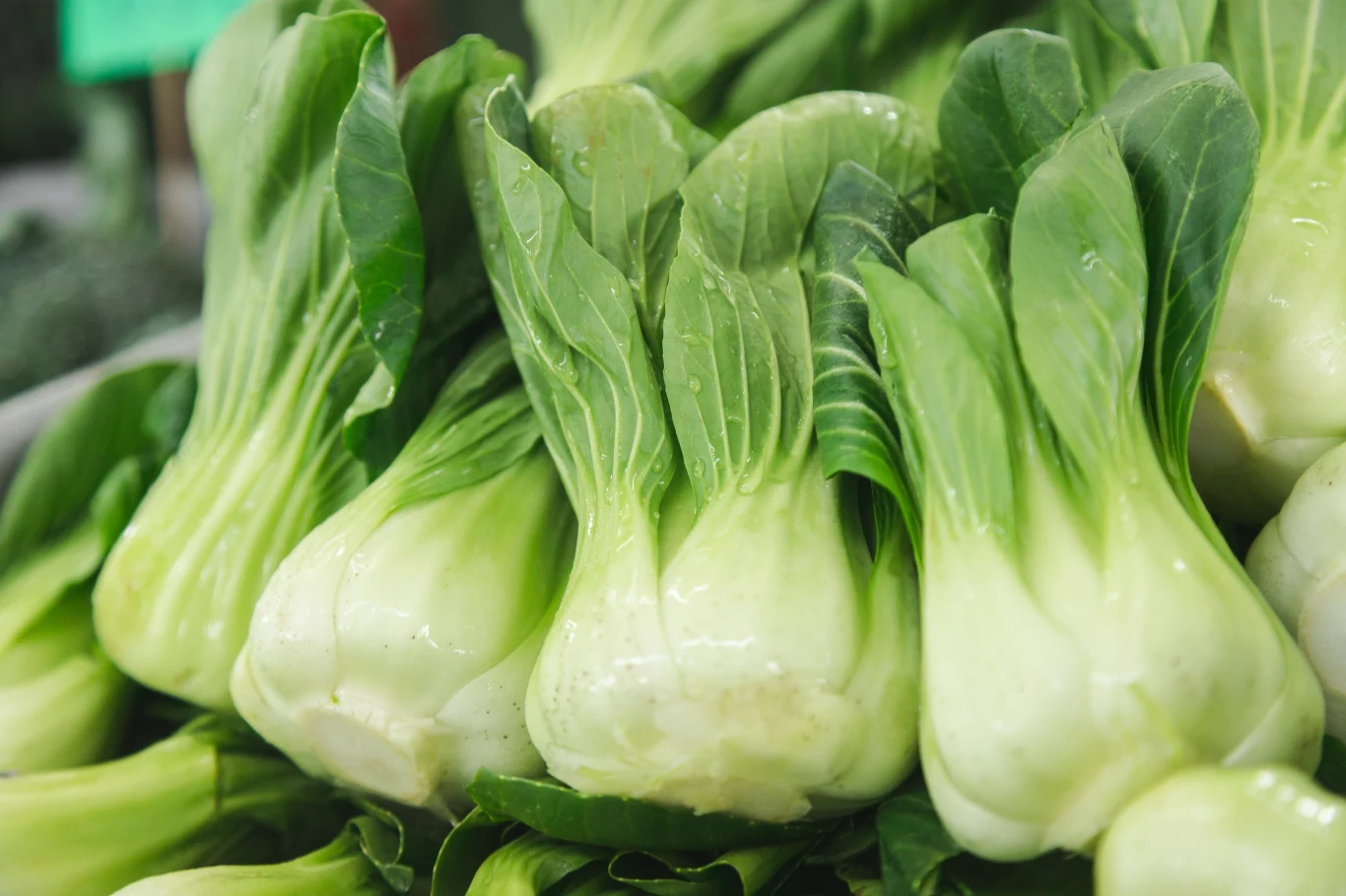 Świeże główki bok choy ułożone w stos, liście są intensywnie zielone i pokryte kroplami wody, co świadczy o ich świeżości.