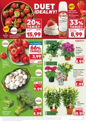 Fresh promocje w Kauflandzie