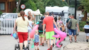 Potoczna nazwa „wczasy pod gruszą” kryje świadczenie wypłacane pracownikom z Zakładowego Funduszu Świadczeń Socjalnych (ZFŚS). 