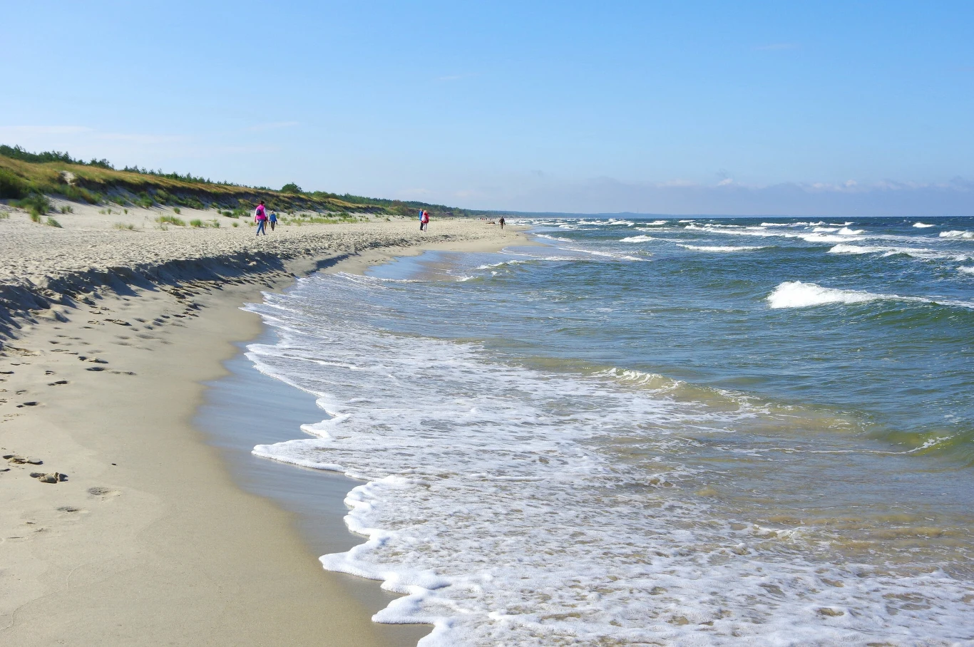 Piaszczysta plaża z delikatnie rozbijającymi się falami, kilka osób spacerujących w oddali wzdłuż linii brzegowej, zielona roślinność na wydmach i błękitne niebo nad horyzontem.