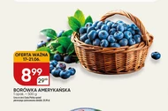 Borówka amerykańska Chata polska