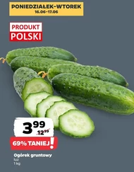 Ogórek Polski