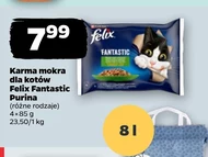 Mokra karma dla kota Felix