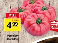 Pomidory