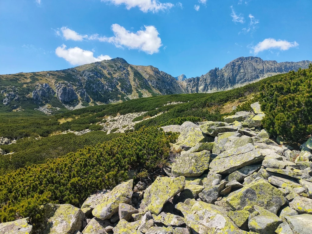 Część szlaku usłana jest dużymi kamieniami Panorama górska z wyraźnymi szczytami i urwistymi zboczami, na pierwszym planie kamienie i zarośla kosodrzewiny, pod błękitnym niebem z pojedynczymi chmurami.
