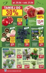 Weekend super cen - Aldi