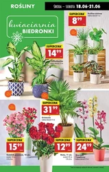 Нові пропозиції на Biedronka