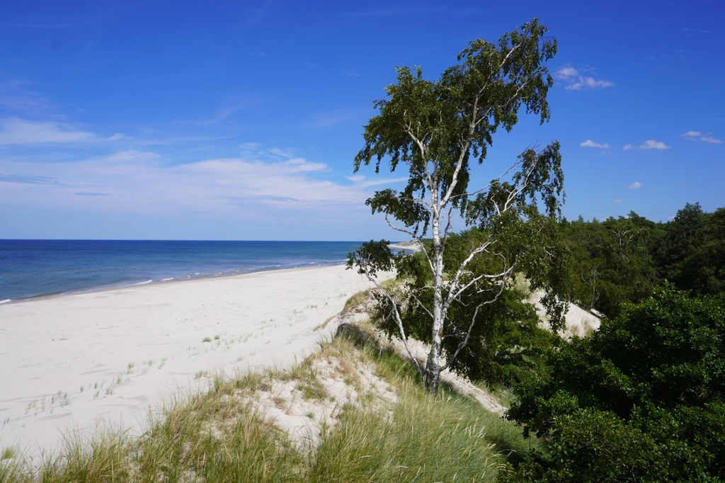 W województwie pomorskim znajdują się najpiękniejsze plaże polskiego wybrzeża W województwie pomorskim znajdują się najpiękniejsze plaże polskiego wybrzeża