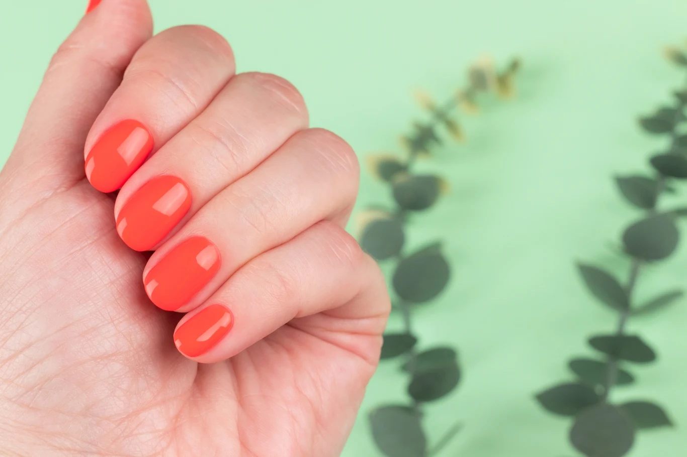 Kolor "cajun shrimp" to kompromis pomiędzy intensywną czerwienią a lekkim, letnim kolorem Dłoń z zadbanymi paznokciami pomalowanymi na intensywny koralowy kolor na tle rozmytych liści eukaliptusa na jasnozielonym tle.