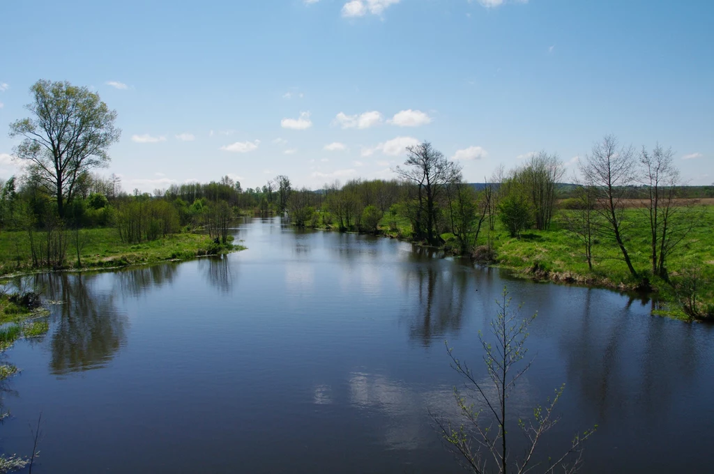 Śródlądowa delta Nidy w gminie Kije to unikat w skali europejskiej. Podobnych delt rzecznych na Starym Kontynencie jest zaledwie kilka Śródlądowa delta Nidy w gminie Kije to unikat w skali europejskiej. Podobnych delt rzecznych na Starym Kontynencie jest zaledwie kilka