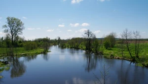 Odratowano polską perłę nad Nidą. To unikat w skali Europy