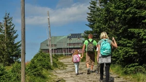 „Wczasy pod gruszą” to zwyczajowa nazwa dofinansowania wypoczynku pracowników.
