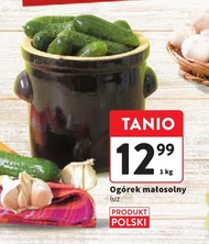 Ogórek Polski