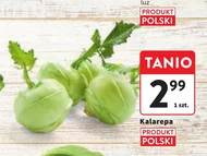 Kalarepa Polski
