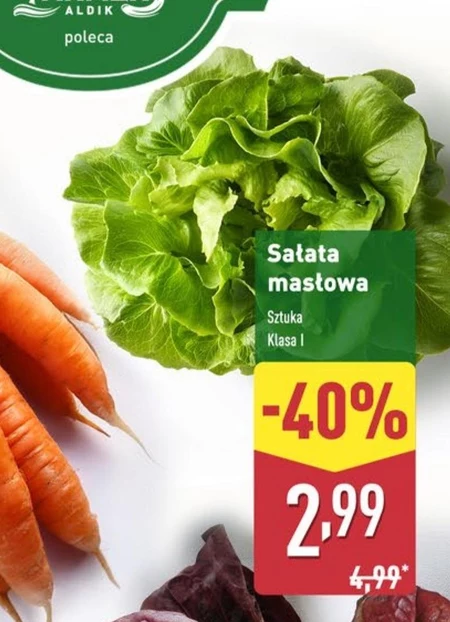 Sałata masłowa