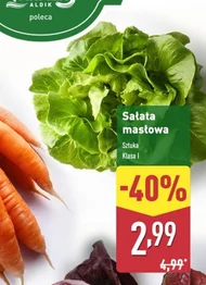 Sałata masłowa