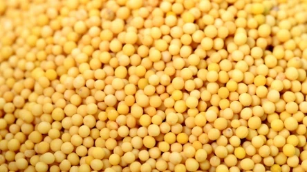 Grandine to malutki makaron prosto z Włoch