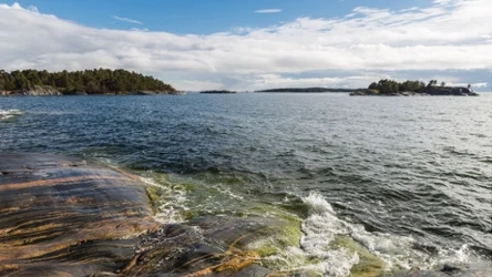 Źródło: By Ninaras - Own work, CC BY 4.0, https://commons.wikimedia.org/w/index.php?curid=58342326