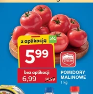 Помідори