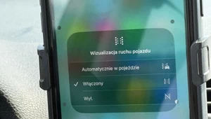 Wyjeżdżasz na długi weekend? Koniecznie włącz to ustawienie w telefonie