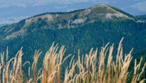 Tatry spokojne, czyli część druga rozważań o ciszy między reglami [halo tu wakacje]
