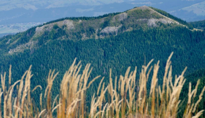 Tatry spokojne, czyli część druga rozważań o ciszy między reglami [halo tu wakacje]