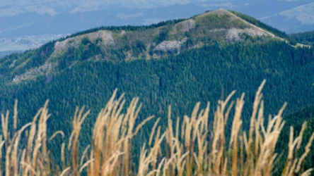Tatry spokojne, czyli część druga rozważań o ciszy między reglami [halo tu wakacje]