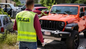 Policjanci rozbili grupę przestępczą. Odzyskano pojazdy o wartości 8 mln zł