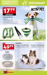 Rusz na wakacje z Biedronką