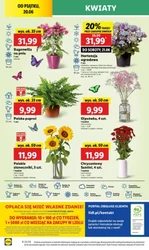 Останні акції в Lidl