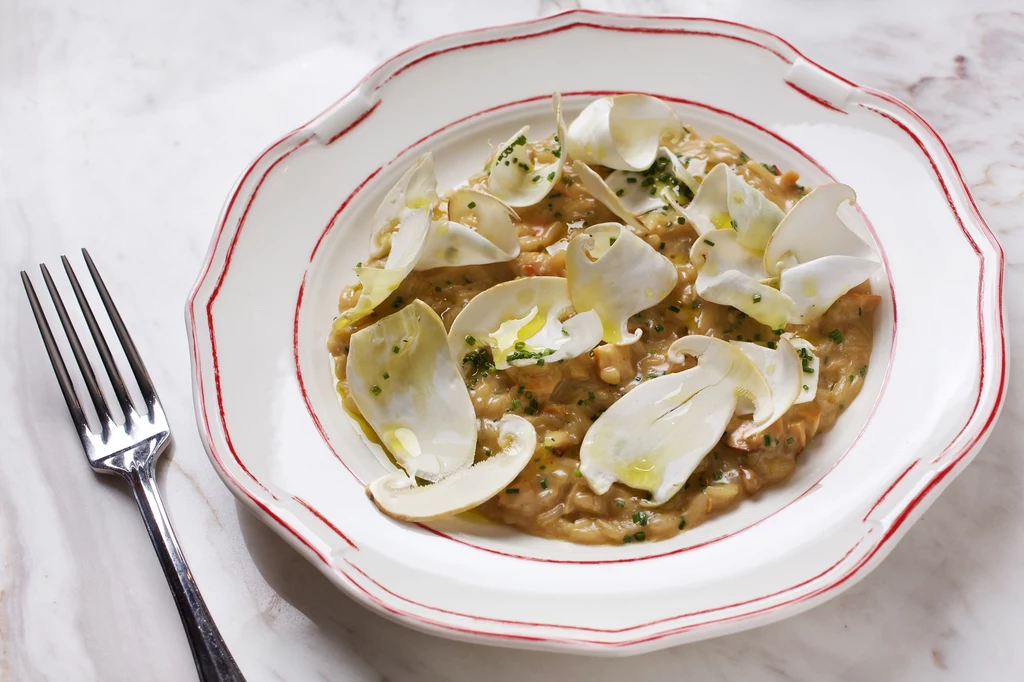 Risotto Acquerello Carnaroli z grzybami: żółciakiem siarkowym i matsutake, pietruszką i parmezanem, sfotografowane w restauracji Officina w Waszyngtonie Kremowe risotto z cienko pokrojonymi białymi grzybami ułożonymi na wierzchu, polane oliwą i posypane świeżymi ziołami, podane na eleganckim, ozdobnym talerzu z czerwoną linią na brzegu.